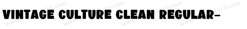Vintage Culture Clean Regular字体转换